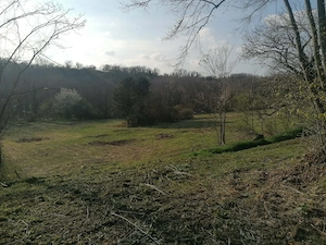 Eladó Helesfán  Pécstől  25 km re( 20 perc autóval)   a Pécsi szőlő bor termelő vidéken .1.5 hektár  - kép 7