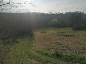 Eladó Helesfán  Pécstől  25 km re( 20 perc autóval)   a Pécsi szőlő bor termelő vidéken .1.5 hektár  - kép 9