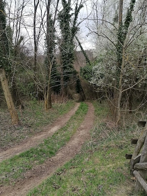 Eladó Helesfán  Pécstől  25 km re( 20 perc autóval)   a Pécsi szőlő bor termelő vidéken .1.5 hektár  - kép 8