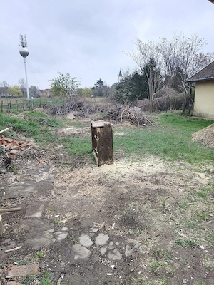 Sürgőssen eladó Tiszagyendai parasztház!! - kép 2