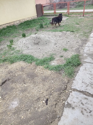 Sürgőssen eladó Tiszagyendai parasztház!! - kép 5