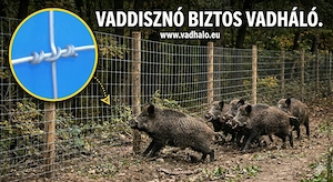 vadháló,drótháló