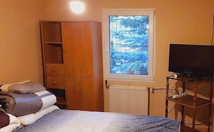 Nyíregyháza-Oros övezetében 2 szobás családi ház eladó! - kép 7