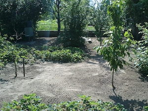 Debrecenben zártkert gazdasági épületekkel bérbeadó kedvező áron