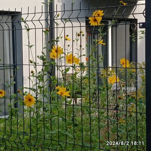 Győrben földszintes, kertkapcsolatos 2021-es építésű lakás eladó - kép 1