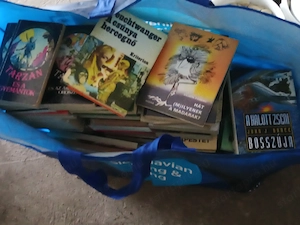 Lian Hearn Fűpárna 4000ft óbuda  36 20 949 1288 36 50 104 8272  posta kizárolag előre fizetés után m - kép 5