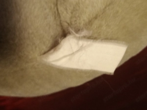 plüss elefánt 8000ft óbuda Hozzám személyesen is jöhetsz, vásárlás előtt megnézheted, akár ki is pró - kép 5