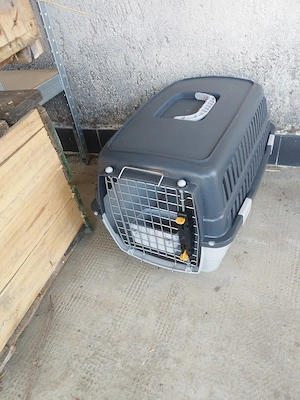 Foxi, vadászgörény költözne! - kép 4