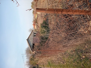 Figyelem! Eladó telek - kép 3