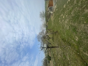 Miháld eladó családi ház - kép 15