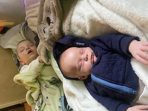 Husky kan 2éves - kép 2