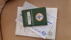 Törzskönyves American Bully