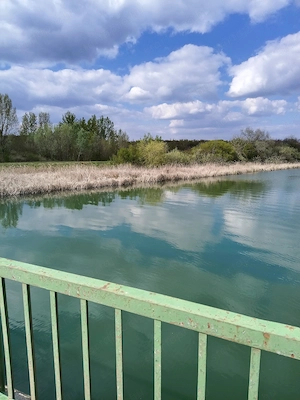 Sürgőssen eladó Tiszagyendai felujjitandó parasztházunk! - kép 13