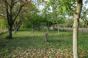 Szilsárkány - 1987-ben épült 3 szobás ház eladó - kép 11