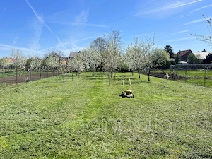 Csorna - 1127 m2-es telken bontandó ház eladó - kép 2