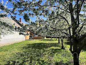 Szil   3 szobás azonnal birtokba vehető ház eladó