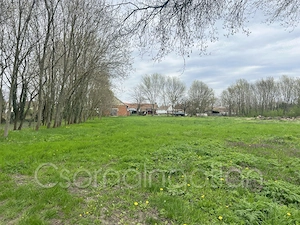 Potyond - ló-, és állattartásra alkalmas gazdasági épület nagy területen eladó - kép 2