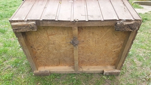 Kutyaház eladó kistermetűnek - kép 16