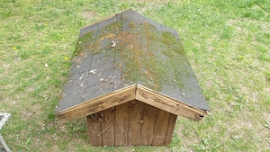 Kutyaház eladó kistermetűnek - kép 2