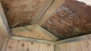 Kutyaház eladó kistermetűnek - kép 12