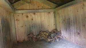 Kutyaház eladó kistermetűnek - kép 10