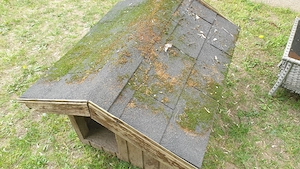 Kutyaház eladó kistermetűnek - kép 7