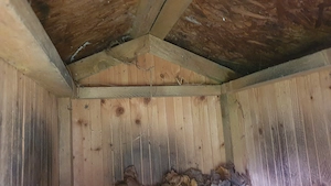 Kutyaház eladó kistermetűnek - kép 11