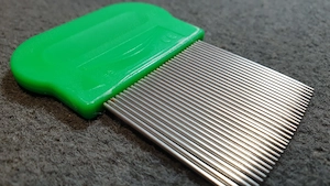 Tetűfésű eladó - kép 8