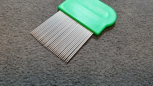 Tetűfésű eladó - kép 2