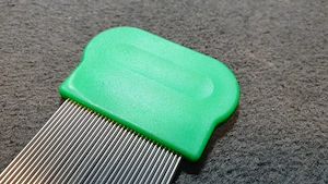 Tetűfésű eladó - kép 4