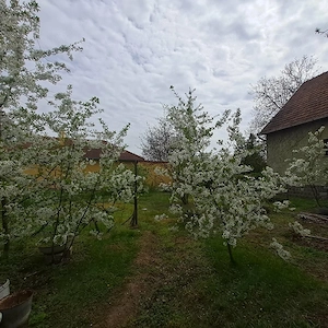 Gyömrőn, állomástól nem messze, 58 m2-es, 3 szobás családi ház 708 m2-es telekkel - kép 11