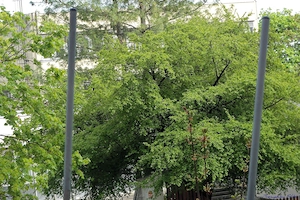 Samsung ST96 kisméretű-ultrakompakt, teljes készletben, azonnali használatra, eladó - kép 13