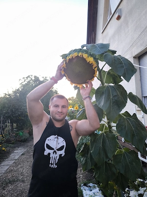 A jó dolgok a semmiből jönnek. - kép 6