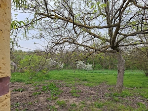 Vidéki vályogház dupla területtel eladó. - kép 15