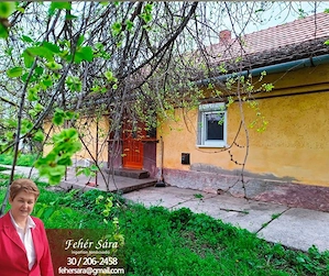 Vidéki vályogház dupla területtel eladó.