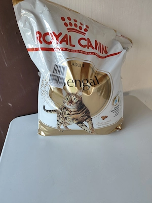 Bengáli kandúr ingyen  - kép 7