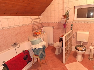 Bútorozatlan gödi ház kiadó  - kép 3