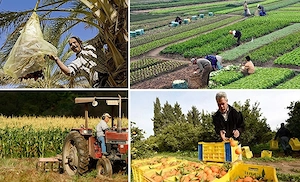 HITELEKET kínálunk:  és befektetéseket magánszemélyek és vállalkozások számára.   Európa-szerte  Fin - kép 2