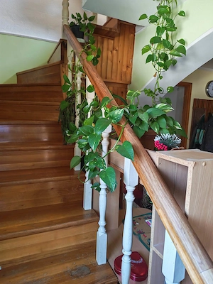   KÉT GENERÁCIÓ? NEM GOND!   Gyáli álomotthon eladó!   - kép 9