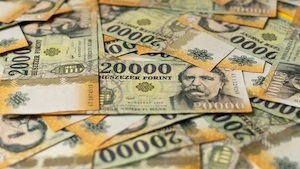 Alkalmi munka diáklányok részére