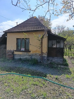 Eladó ház kecskemét  Széles közön! - kép 4