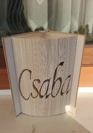 Könyvszobor, ajándék Csaba felirattal  - kép 2