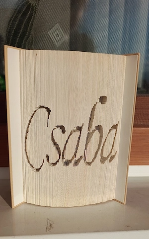 Könyvszobor, ajándék Csaba felirattal  - kép 3