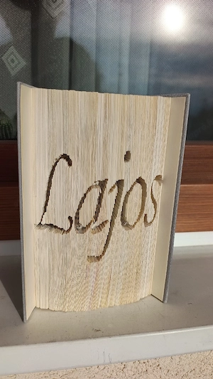 Könyvszobor, disztárgy, Lajos felirattal ajándék  - kép 2