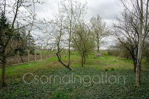 Jobaháza - szigetelt, azonnal birtokba vehető családi ház eladó - kép 15