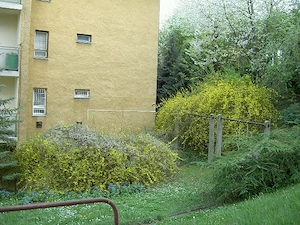 Mintha nyaralna, madárcsicsergéses lakás kiadó - kép 6