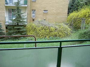 Mintha nyaralna, madárcsicsergéses lakás kiadó - kép 7