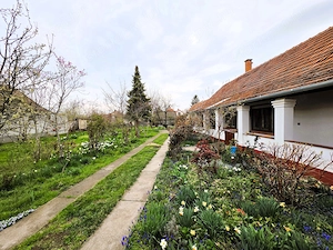 Kiskunhalas Alsóvárosban hangulatos családi ház eladó! - kép 11