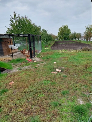 Eladó családi ház Dormándon  - kép 5