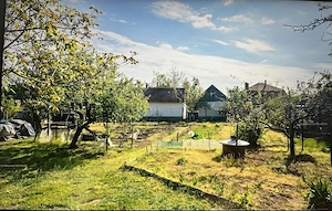 Eladó családi ház 163 nm+1105nm pénzt termelő gyümölcs kert Jászszentandráson - kép 5